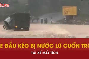 Khoảnh khắc xe đầu kéo bị nước lũ cuốn trôi, tài xế mất tích ở Quảng Trị