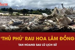 ‘Thủ phủ’ rau, hoa ở Lâm Đồng tan hoang sau lũ lịch sử