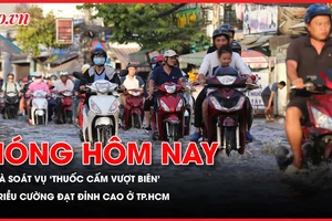 Bưu điện Việt Nam rà soát vụ ‘thuốc cấm vượt biên’; Triều cường đạt đỉnh cao ở TP.HCM