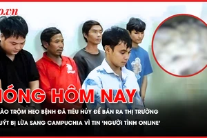 Nhóm người chuyên đào trộm heo bệnh đã tiêu hủy về sơ chế bán ra thị trường; Tin ‘người tình online’, thanh niên suýt bị lừa sang Campuchia 