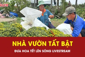 Nhà vườn tất bật đưa hoa tết lên sóng livestream