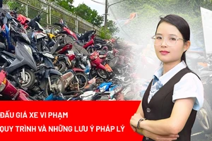 Đấu giá nguyên lô 24.000 xe máy vi phạm tại TP.HCM: Quy trình và những lưu ý pháp lý