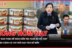 Nóng hôm nay 13-01: Sau vụ đồ hộp Hạ Long: Đề nghị tổng rà soát đồ đóng hộp; Cận cảnh cá voi trôi vào bờ biển