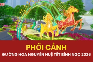 Ngắm phối cảnh độc đáo của đường hoa Nguyễn Huệ Tết Bính Ngọ 2026
