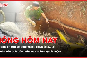 Thông tin mới vụ cướp ngân hàng ở Gia Lai; Xuyên đêm giải cứu thiên nga trắng của Thảo Cầm viên bị mất trộm