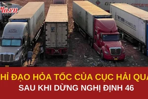 Cục Hải quan chỉ đạo hỏa tốc về thông quan các lô hàng thực phẩm tồn đọng