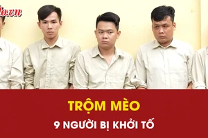 Khởi tố 9 bị can dùng súng điện, bình xịt hơi cay trộm mèo