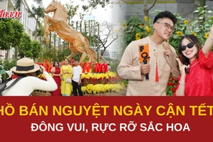 Người dân khắp nơi nô nức check-in đường hoa Phú Mỹ Hưng ngày cuối năm