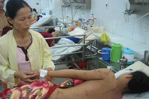 51 học sinh tiểu học bị ong mật đốt