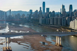 Hạn hán chưa từng có 'tấn công' một loạt nền kinh tế lớn 