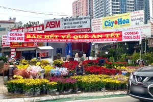 Sát Tết Nguyên đán, hoa nở bung vắng khách mua, giá thực phẩm tăng nhẹ