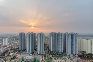 Không đề nghị cấp sổ đỏ cho người mua bất động sản, có thể bị phạt 600 triệu