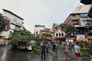 Đã có 7 người ở Hà Nội thương vong do bão số 3