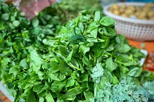 Rau và thủy hải sản khan hàng, giá tăng nhẹ sau bão số 3 