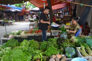 Hơn hai tuần sau bão số 3, giá rau xanh ở Hà Nội tăng gấp đôi