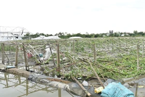 Xem xét miễn, giảm lãi suất, thuế cho các trường hợp bị thiệt hại sau bão số 3