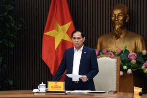 Phó Thủ tướng Bùi Thanh Sơn: Phải đề cao 'văn hoá thực thi' các cam kết quốc tế