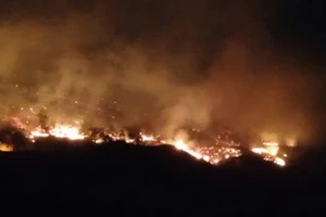 Thủ tướng chỉ đạo khẩn sau 2 vụ cháy rừng ở Quảng Ninh