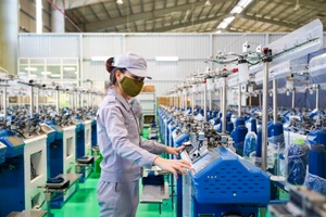 Chính phủ ban hành kế hoạch phát triển kinh tế tư nhân