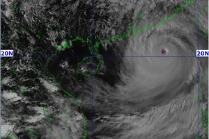 Thủ tướng chỉ đạo tập trung triển khai công tác ứng phó bão số 9