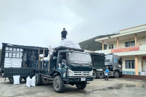 Xuất cấp 4.000 tấn gạo dự trữ quốc gia cho 3 tỉnh Gia Lai, Đắk Lắk, Lâm Đồng