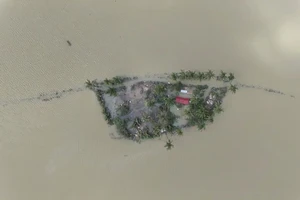 Ngành thuế ra công văn hỏa tốc yêu cầu hỗ trợ người nộp thuế vùng bão lũ