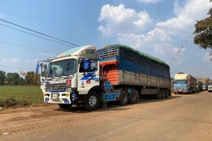 Thủ tướng: Tháo gỡ ngay các khó khăn, vướng mắc liên quan Nghị định 46