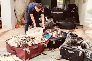 Hàng trăm kg xúc xích mốc, trứng thối suýt tuồn vào thị trường