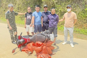 Bắt giữ hơn 59,2kg vảy nghi của tê tê tại Cao Bằng