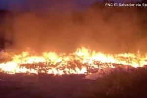 VIDEO: Cận cảnh hơn 2,2 tấn ma túy trị giá 91 triệu USD bị tiêu hủy 