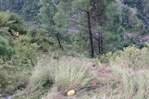 Ấn Độ: 1 ngày, 2 vụ tai nạn thảm khốc khiến hàng chục người thiệt mạng 