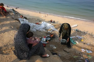 Giữa hoang tàn, biệt lập, bệnh viện Gaza tính chuyện dùng bồ câu đưa thư