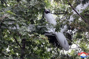 Triều Tiên đăng ảnh chụp UAV bị mắc trên cây 
