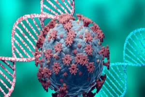 Một số nghiên cứu cho thấy biến thể này mang những đột biến có thể "trốn" vaccine ngừa COVID-19. Ảnh: THE QUINT