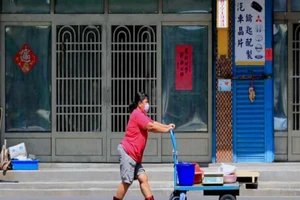 Người phụ nữ đeo khẩu trang đẩy xe đồ ở Bình Đông, Đài Loan. Ảnh: THE GUARDIAN