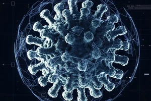 Một nghiên cứu mới của Mỹ cho thấy Omicron về bản chất cũng nghiêm trọng như các biến thể khác. Ảnh: GETTY IMAGES