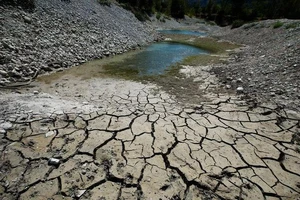 Bờ hồ Le Broc ở Pháp nứt nẻ do hạn hán, ngày 8-8. ẢNH: REUTERS