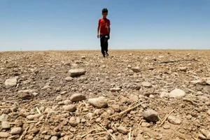 Các đợt nắng nóng nghiêm trọng đang xảy ra trên toàn thế giới. Ảnh AFP