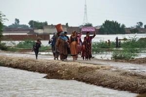 Phụ nữ và trẻ em tại Bolochistan phải di chuyển tới vùng cao hơn để tránh lũ. ẢNH: REUTERS