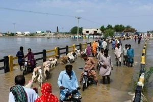 Ngập lụt quận Badin (Pakistan) vào ngày 30-8. Ảnh: REUTERS