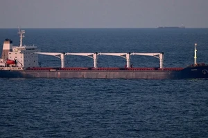 Tàu chở lúa mì của Ukraine tới vùng biển tây bắc Istanbul (Thỗ Nhĩ Kỳ). ẢNH: AFP