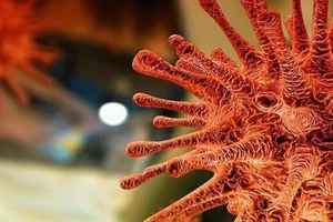 Các triệu chứng của hậu COVID-19 thường là mệt mỏi, khó thở và rối loạn chức năng nhận thức. Ảnh: AA