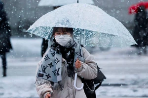 Tuyết làm gián đoạn giao thông ở Nhật