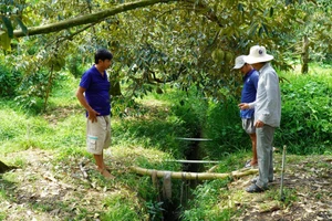 Xâm nhập mặn gia tăng, người dân lo không còn nước để tưới cho cây trồng. Ảnh: ĐÔNG HÀ
