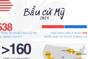 BẦU CỬ MỸ 2024 QUA NHỮNG CON SỐ