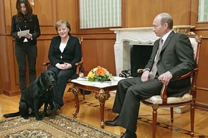 Bà Merkel không chấp nhận lời xin lỗi của ông Putin chuyện đưa chó đến cuộc gặp 17 năm trước