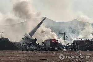 Máy bay Hàn Quốc trượt đường băng phát nổ: 62 người chết, khả năng chưa dừng lại