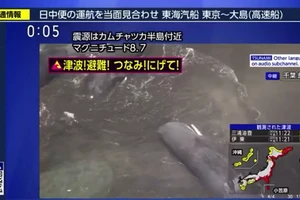 VIDEO: Nhiều cá voi bị sóng đánh vào bờ biển Nhật sau trận động đất 8,8 độ richter ở Nga