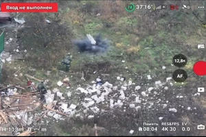 VIDEO: Heo vô tình kích trúng mìn, cứu 2 lính Nga