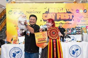 Mèo đến từ Thái Lan đăng quang Hoa hậu mèo quốc tế 2025 tại TP.HCM